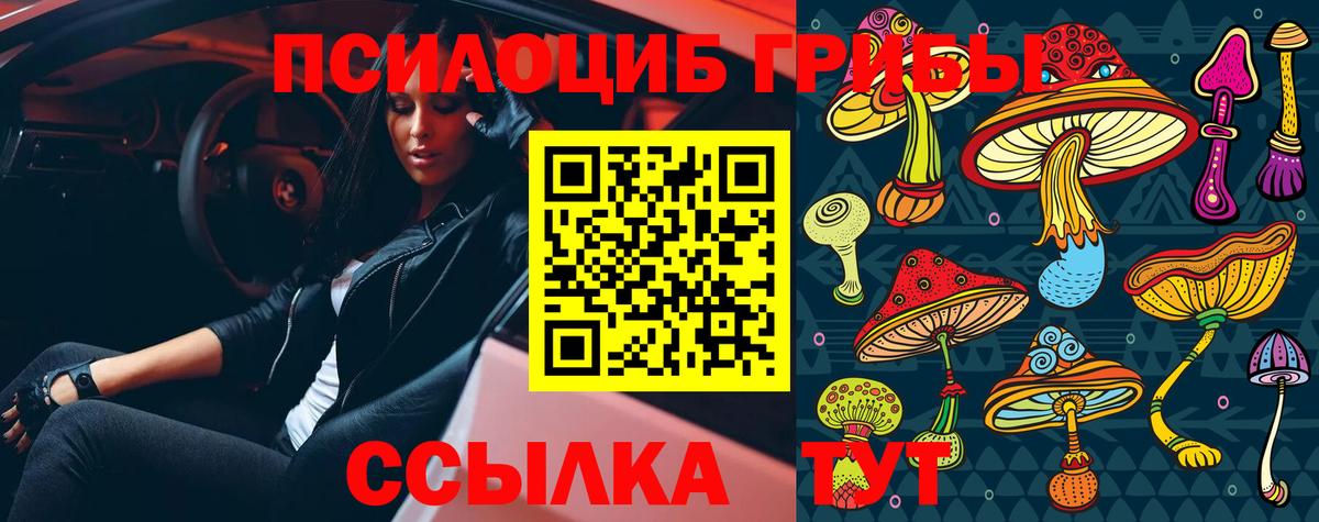 Псилоцибиновые грибы GOLDEN TEACHER Искитим